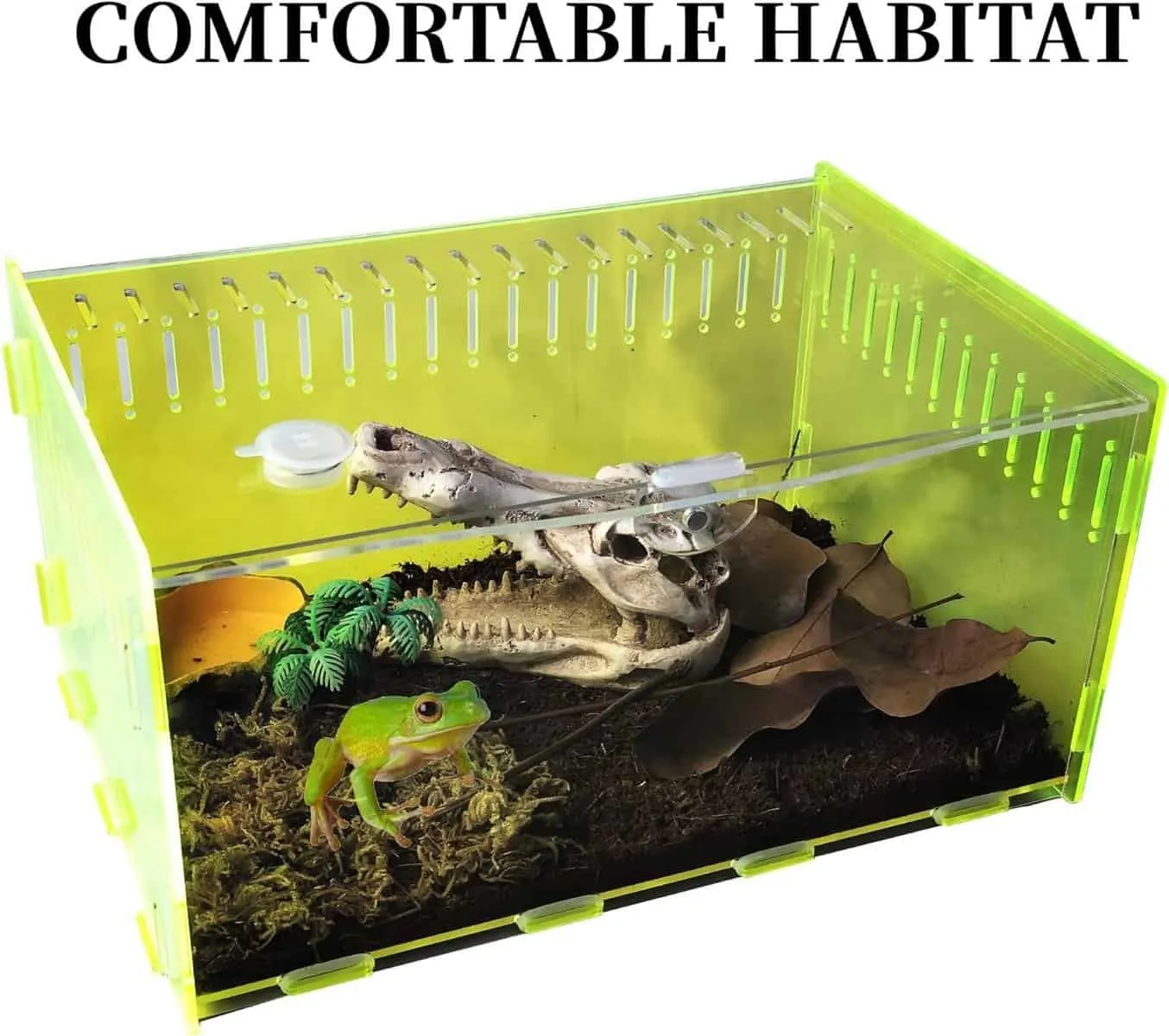 23342 glass tarantula enclosure