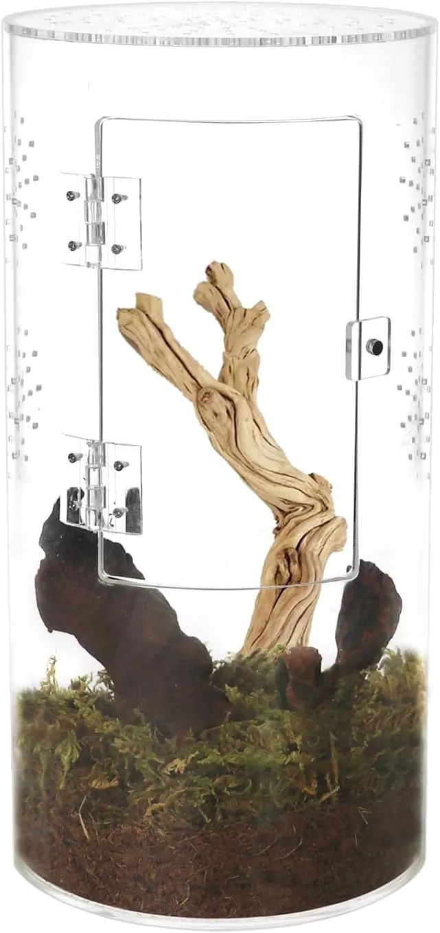 23342 tarantula substrate