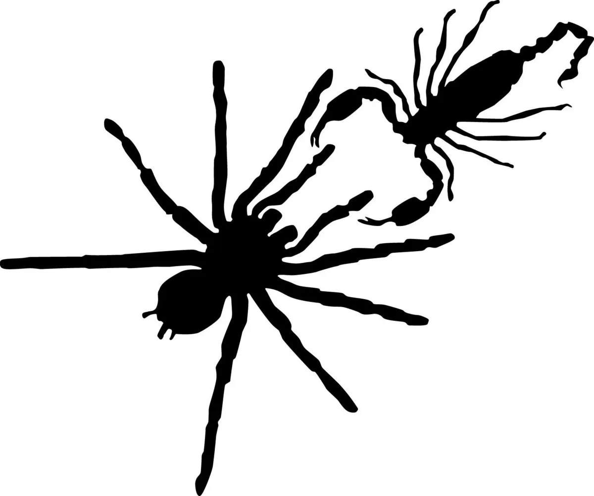 23345 desert scorpion vs tarantula 1