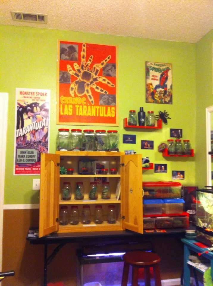 23353 tarantula waterdish