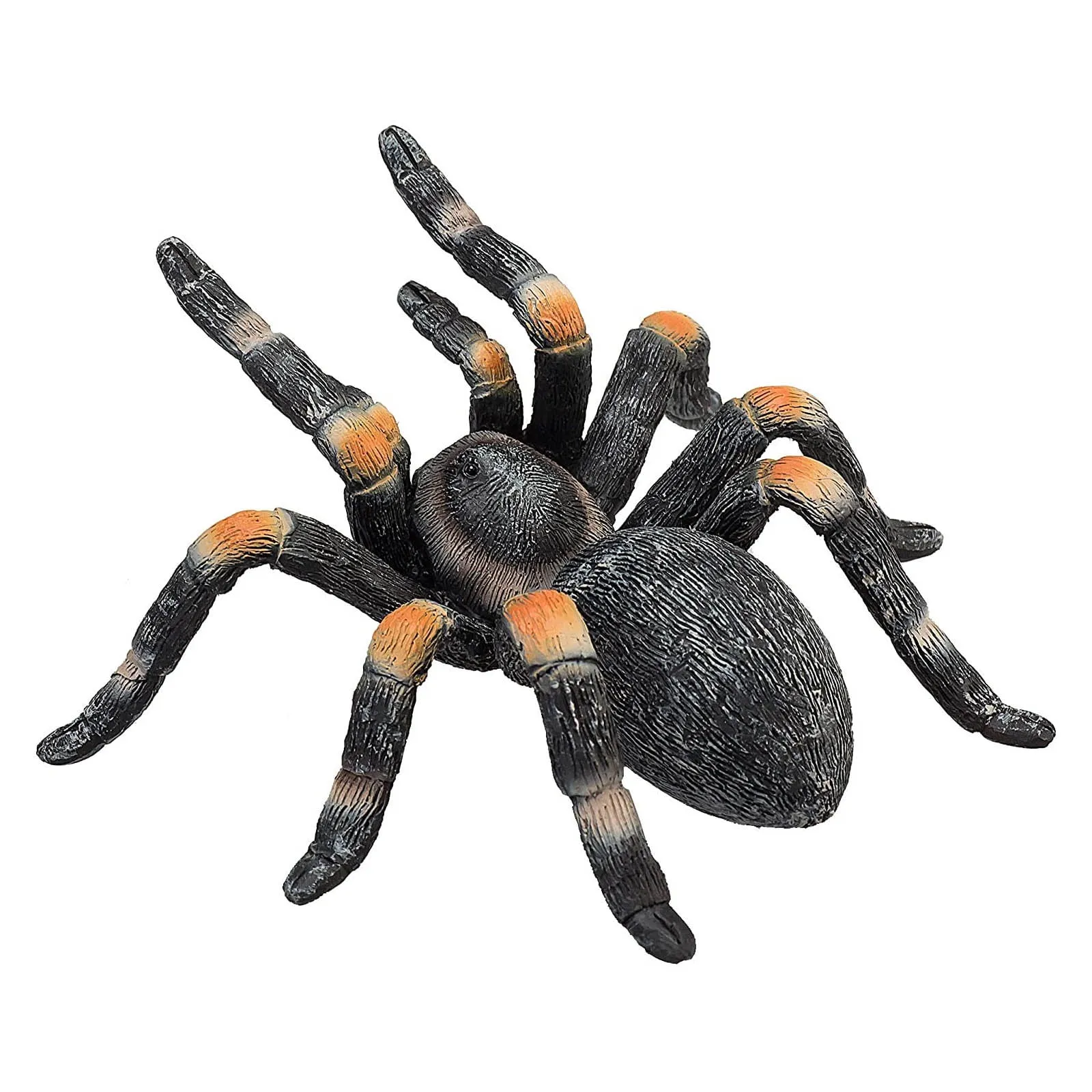23357 walmart tarantulas fact1