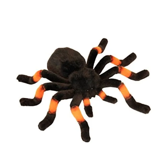 23357 walmart tarantulas fact2