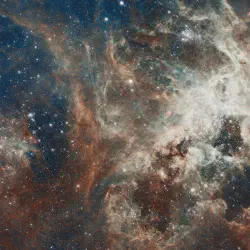 /img/23367-tarantula-nebula-research.webp