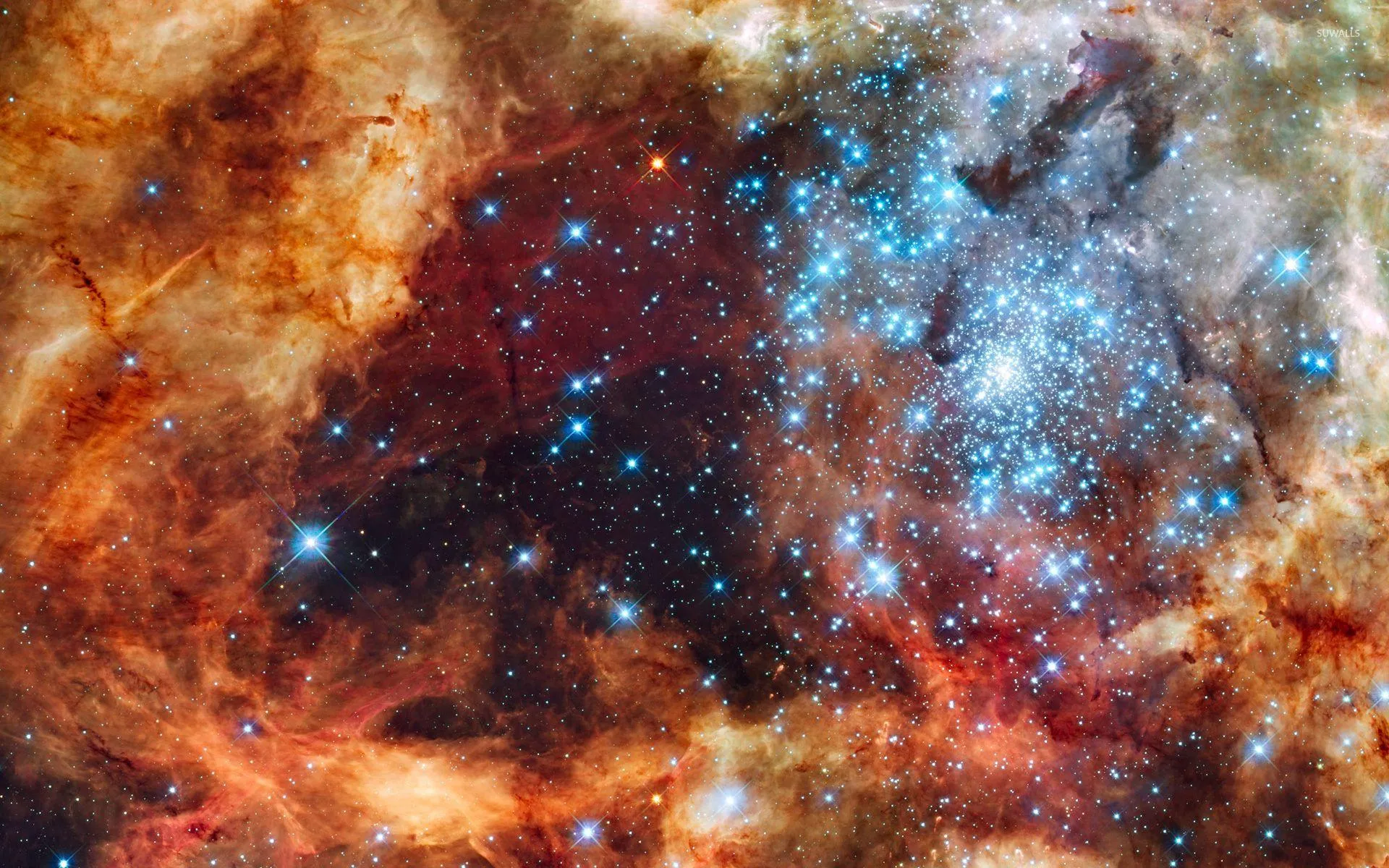 23367 tarantula nebula star formation